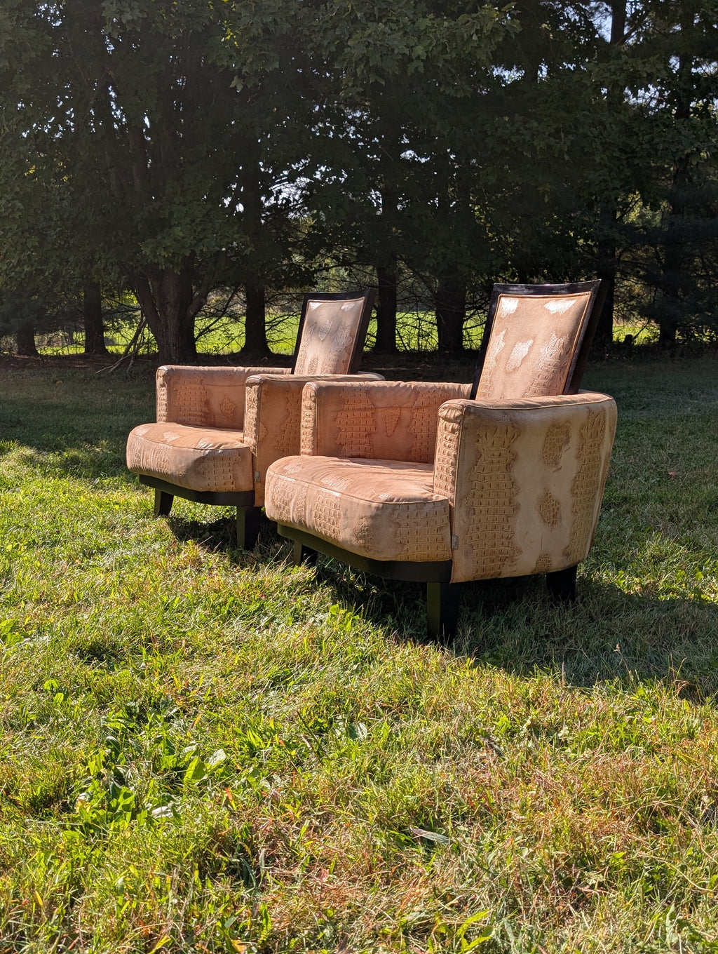 Stone International Embossed Suede Alligator Ribbon Chairs